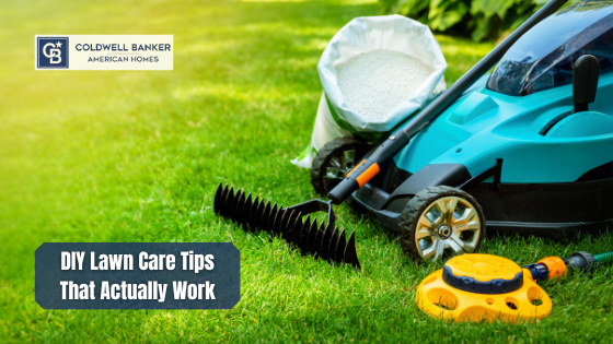 Looking for reliable lawn care advice that delivers results? Start with these tips.
