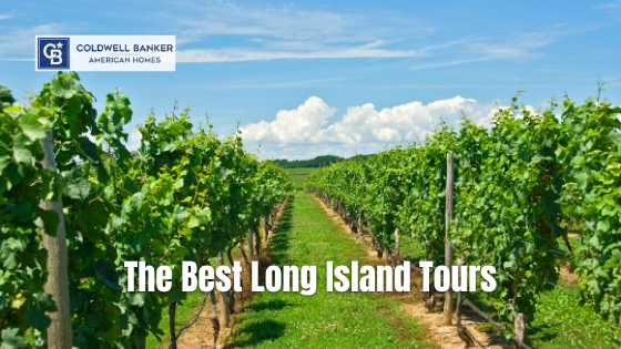 Learn to love Long Island through these exciting tours.