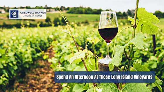 Sip some wine and enjoy the scenery with some of Long Island's most gorgeous locations with these vineyards.