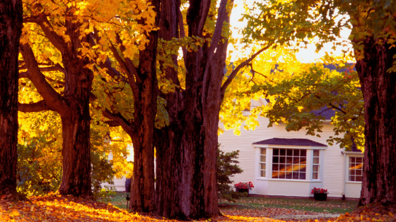 Autumn Home Tips